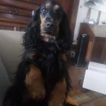 Le Clos Du Carriou Couette-café