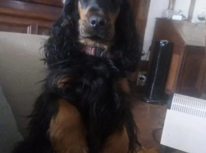 Le Clos Du Carriou Panzió